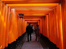 【京都】伏见稻荷大社千鸟居，瞥见那一缕橘色阳光