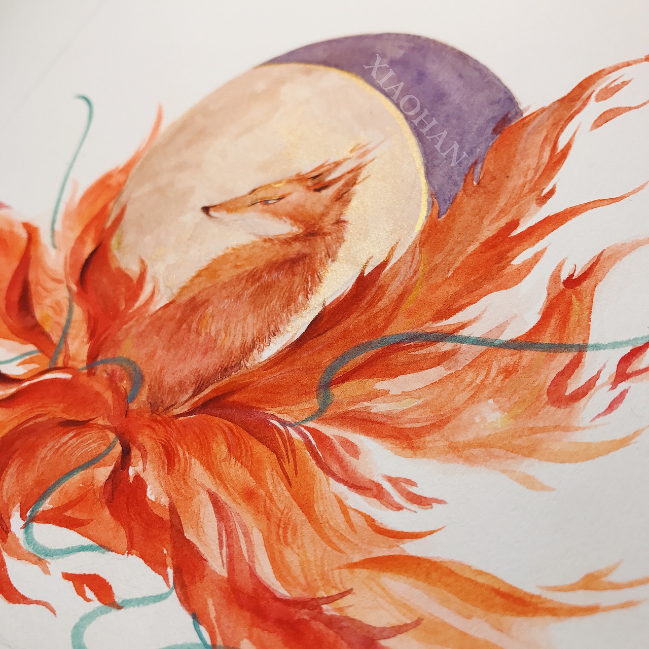 【二十八星宿—心月狐】