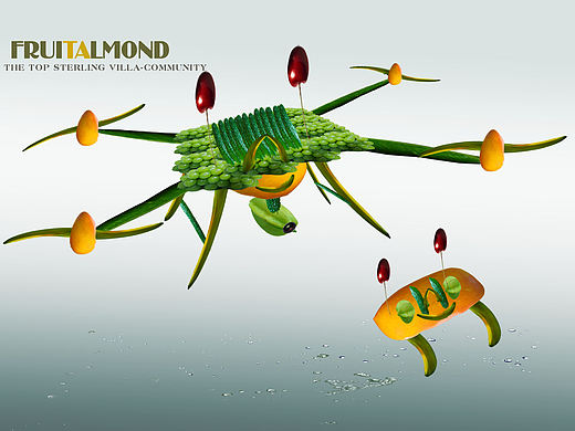 水果四周飞行器