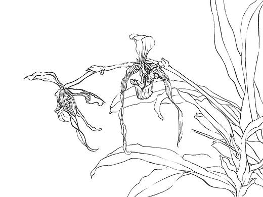 白描花鸟