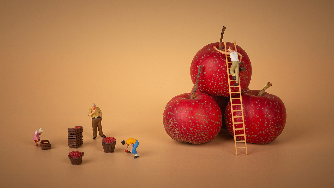 商业摄影 创意摄影 山楂（图ZMjAyMzk4OTc2） - 产品摄影 - 站酷设计师Sunny潮叫兽原创素材 - 站酷ZCOOL