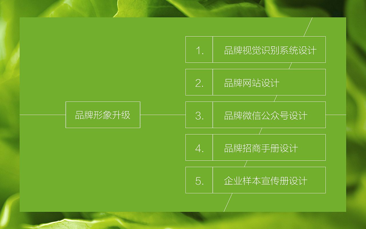 CuiFui 品牌形象设计 | 由里（图ZMTI2MTcyOTYw） - 品牌 - 站酷设计师由里品牌机构原创素材 - 站酷ZCOOL