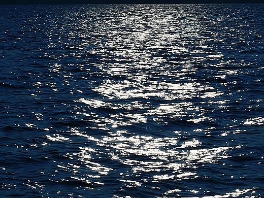 星河湖海皆是你