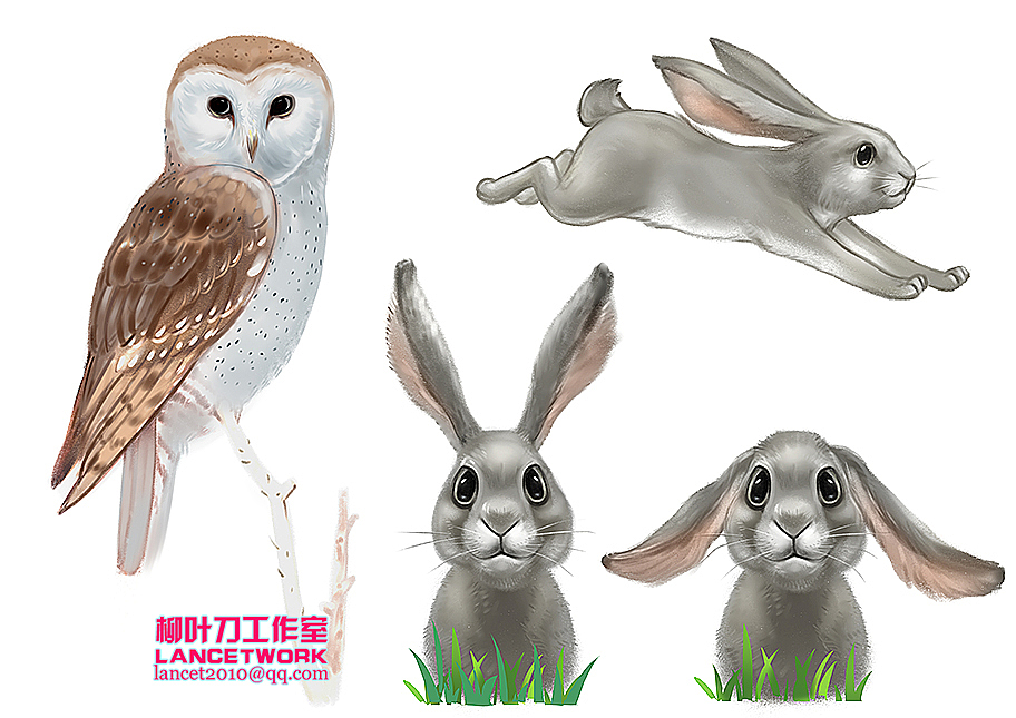 动植物插画小品