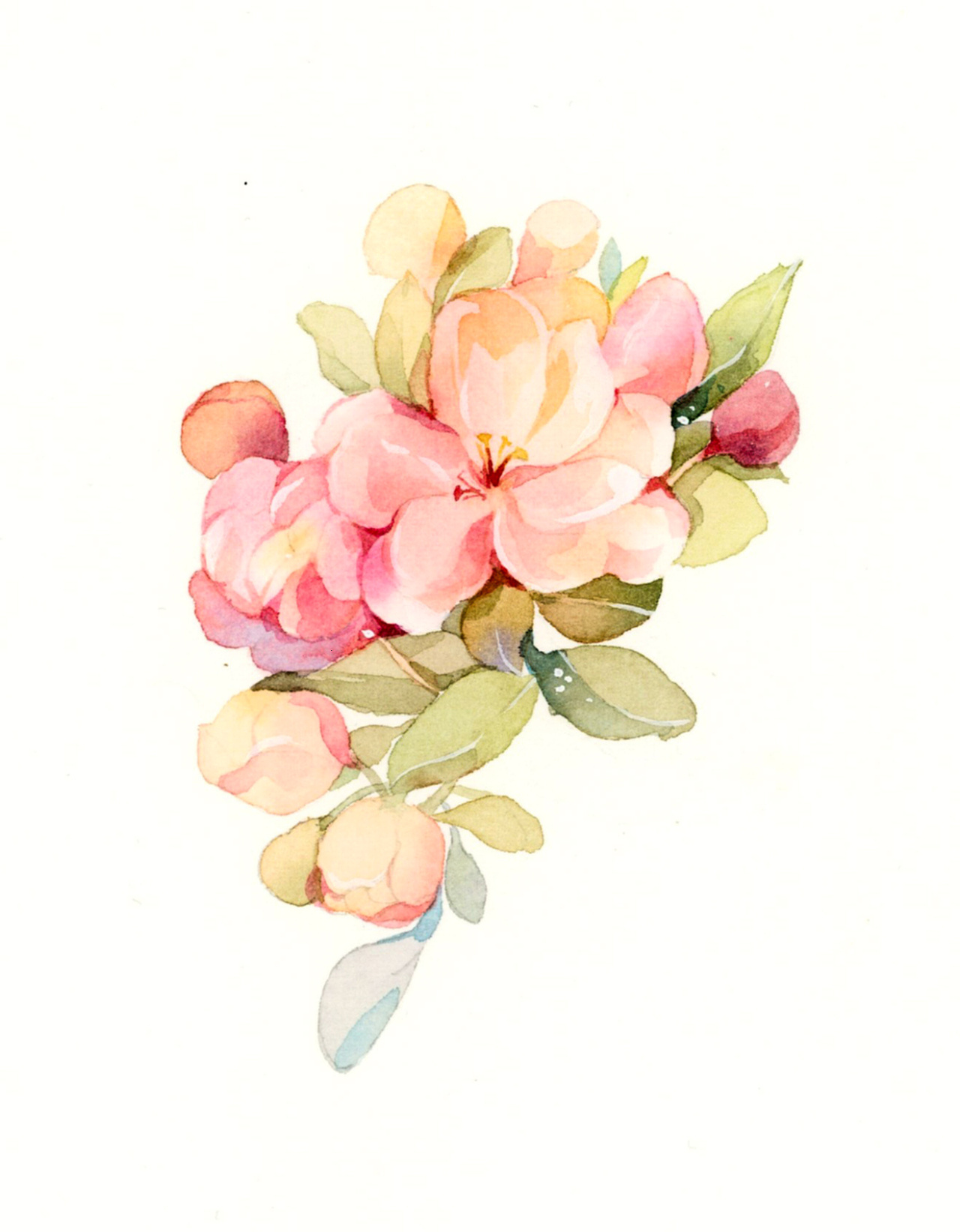 设计花卉|插画|创作习作|表情对策 - 原创作品 - 站酷 (zcool)