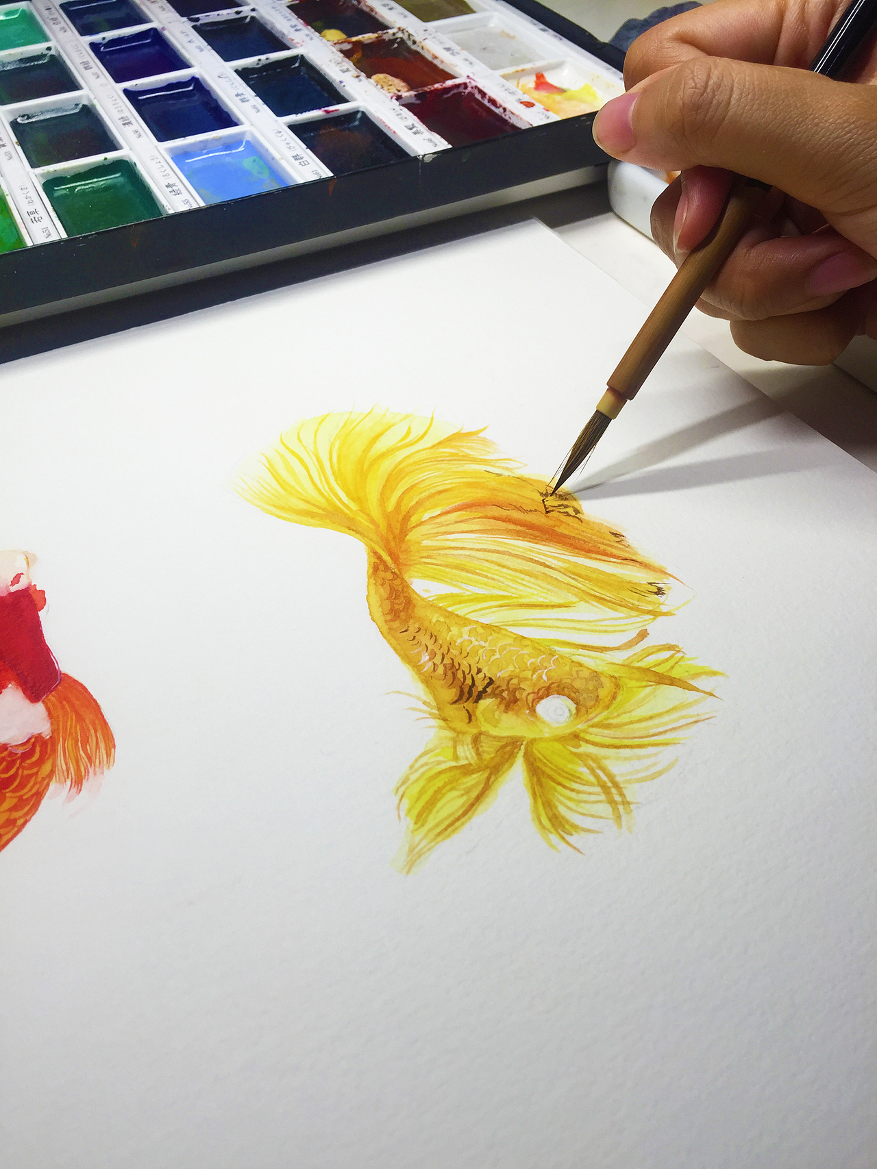 有合作需要的小伙伴 或者想和我一起学习水彩可以私信我哦 可以搜索微信号:puzhiweiluo 微博:@蒲之未落