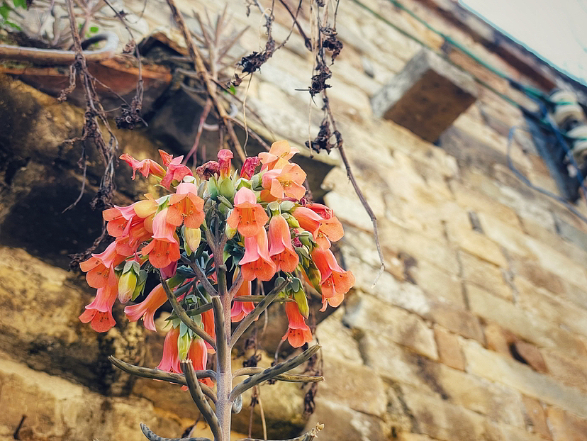 仙姑风景区随记（图ZMzMxODE4MjE2） - 风光摄影 - 站酷设计师愚者猫叔原创素材 - 站酷ZCOOL