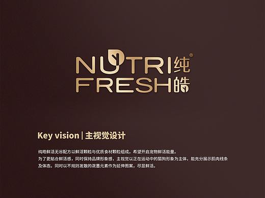 純皓鮮活無谷視覺及宣傳品設(shè)計（個人主頁-ZMzk3NjE2MDg=） - 宣傳物料 - 站酷設(shè)計師年糕姐姐WindyQ原創(chuàng)素材 - 站酷ZCOOL