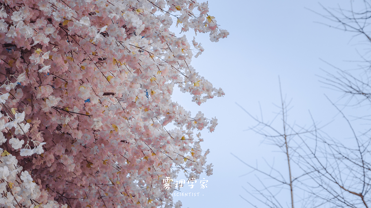 你的名字 | Photo | 雾里学家scientis | 2（图ZMjQ3NjI3NDI4） - 风光摄影 - 站酷设计师雾里学家scientis原创素材 - 站酷ZCOOL