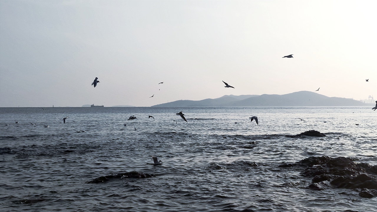 海（图ZMjg1NjMxNjMy） - 风光摄影 - 站酷设计师非鱼子鹿原创素材 - 站酷ZCOOL