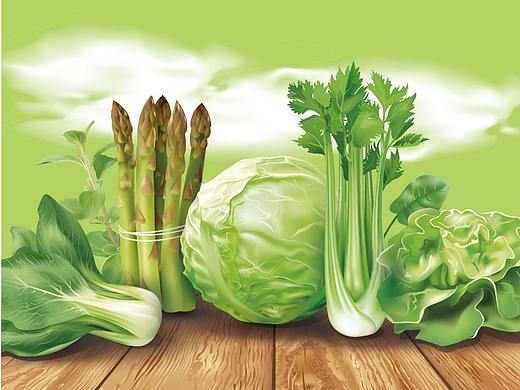 有机蔬菜详情简介