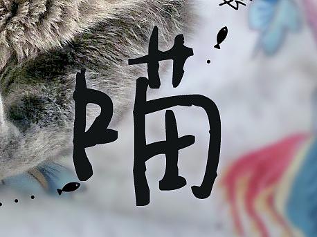 猫-葫芦