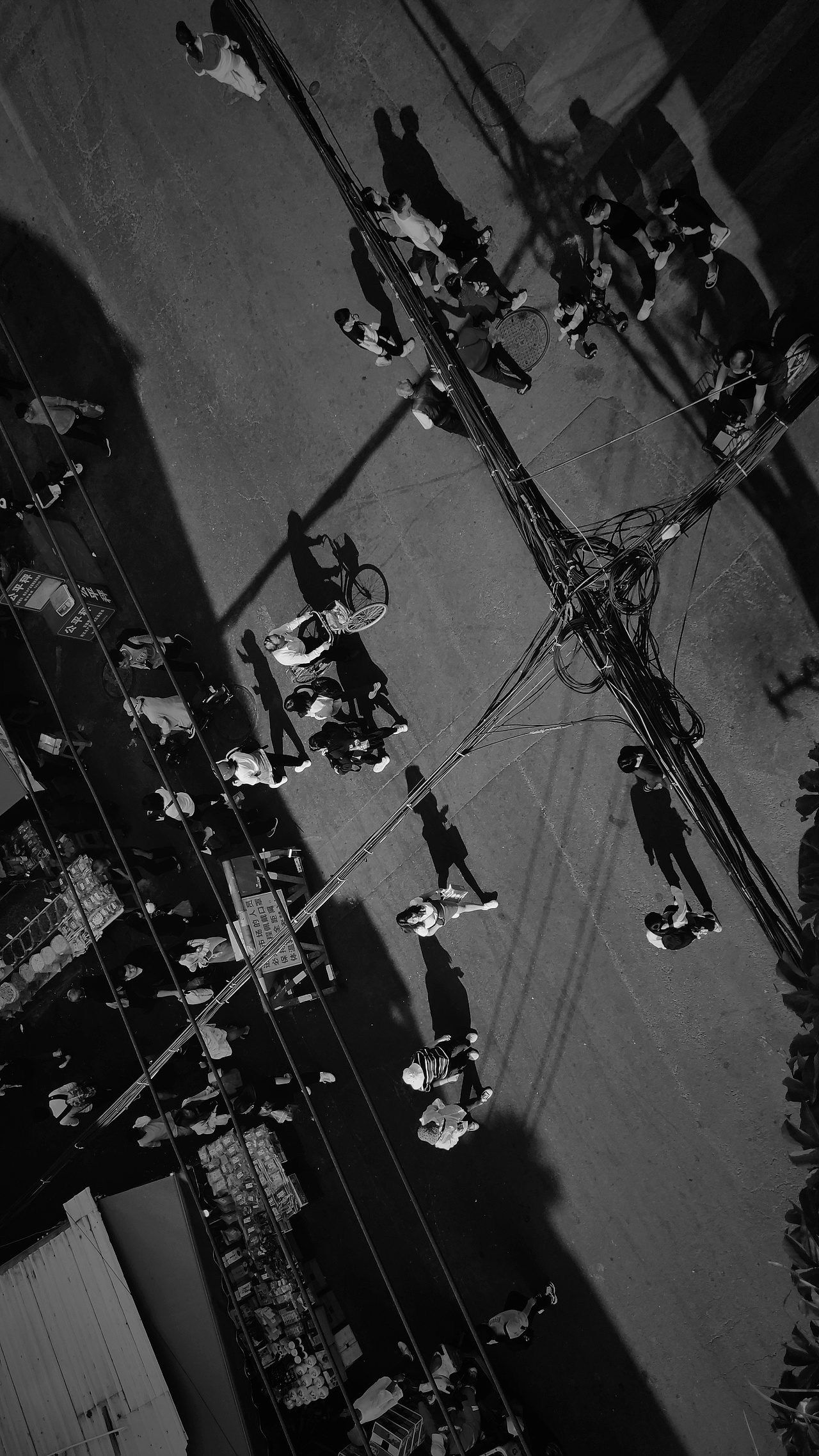 摇摇晃晃的人间