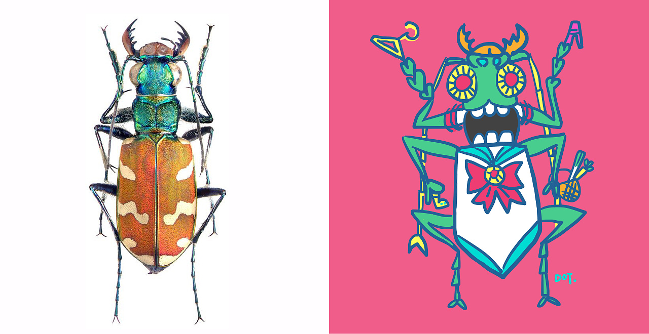 甲虫系列
