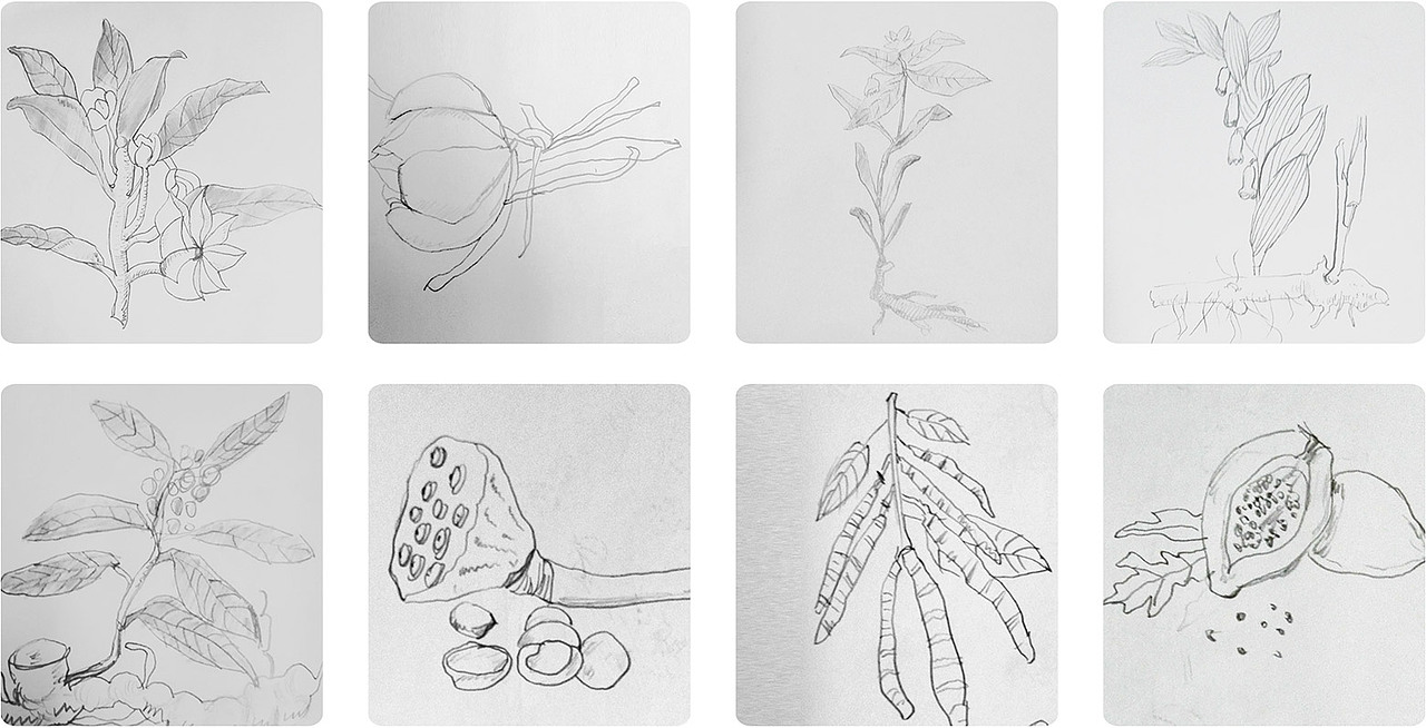 凡膳皆药,寓医于食 ——膳尚