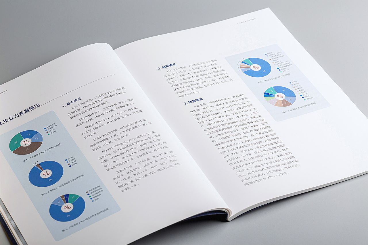 政府机构年报设计