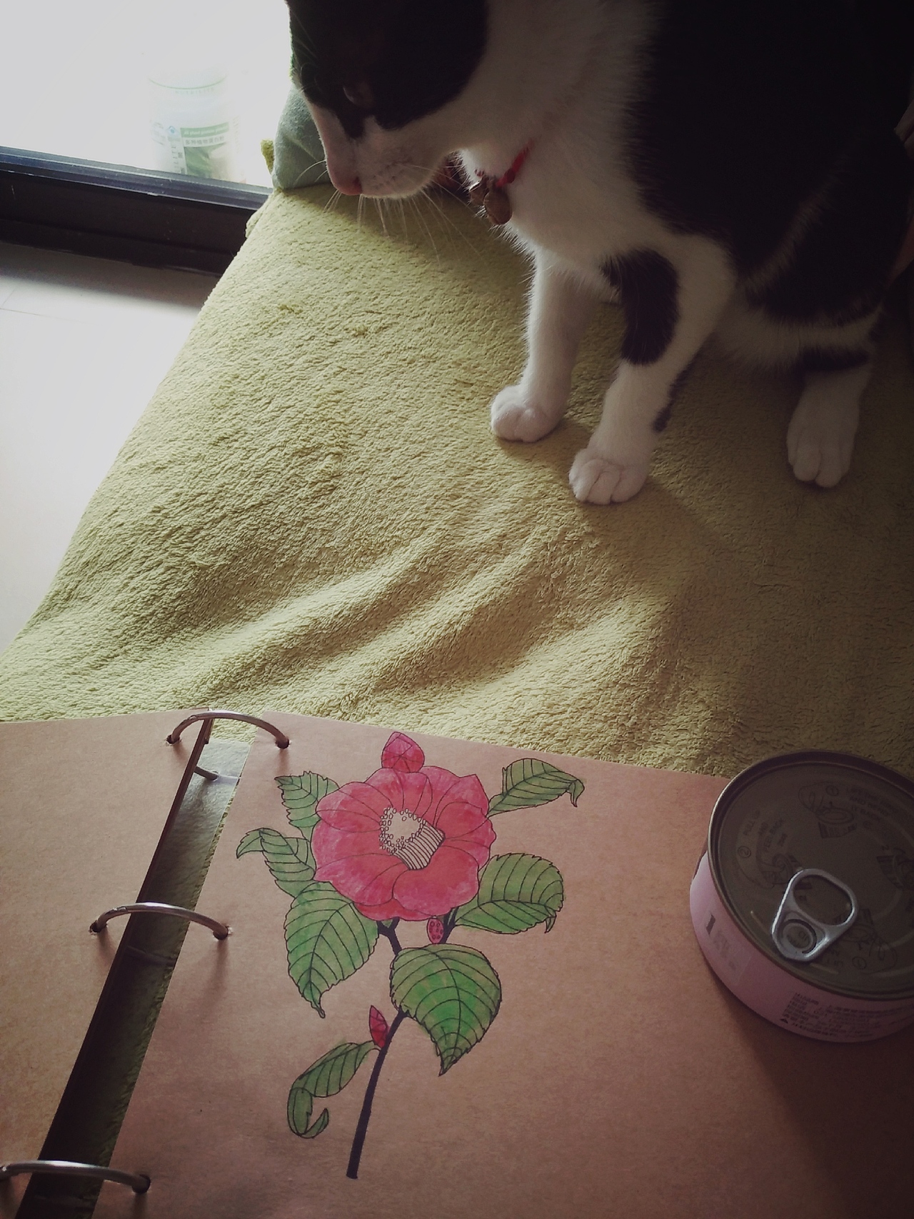 花开无声（图ZOTEzNDk4Njg=） - 艺术插画 - 站酷设计师生生欢颜原创素材 - 站酷ZCOOL