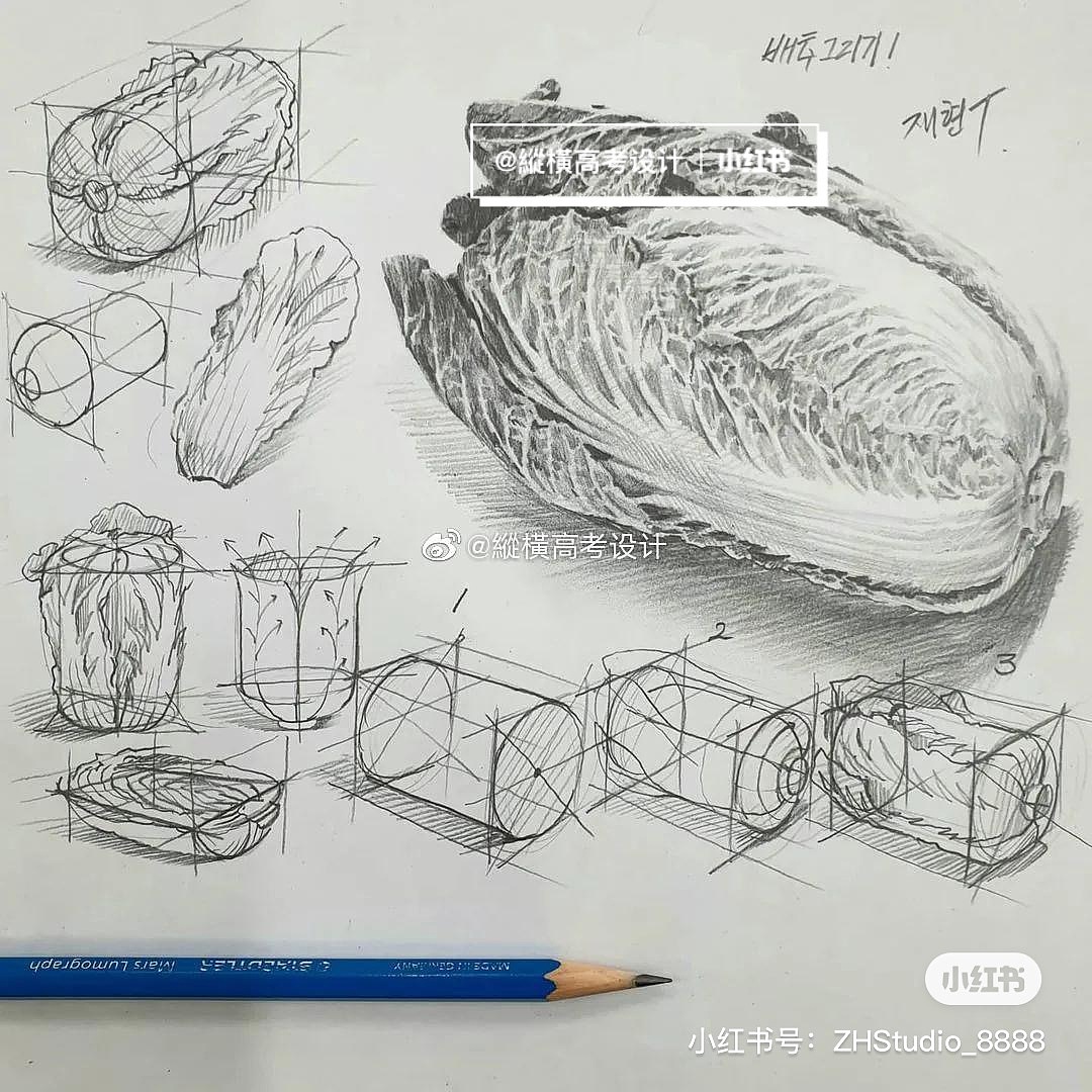 校考设计｜川美设计｜结构素描参考（图ZMjU5ODI0Nzg4） - 艺术插画 - 站酷设计师縱橫高考设计原创素材 - 站酷ZCOOL