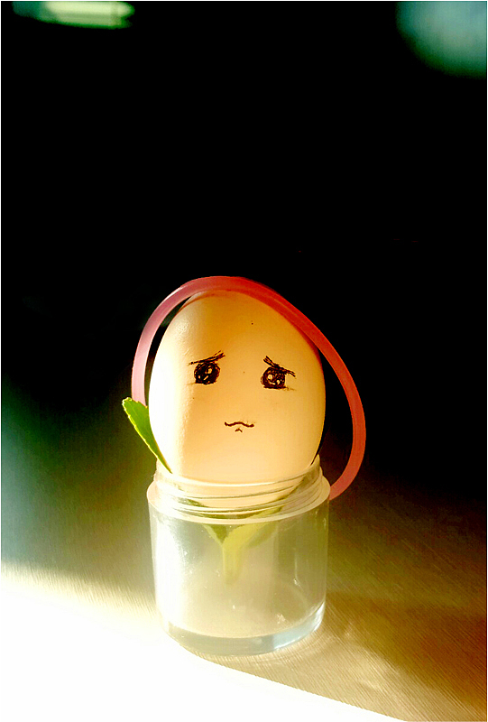 蛋蛋的忧桑（图ZMTkzNDU5NjA=） - 产品摄影 - 站酷设计师chumulanling原创素材 - 站酷ZCOOL