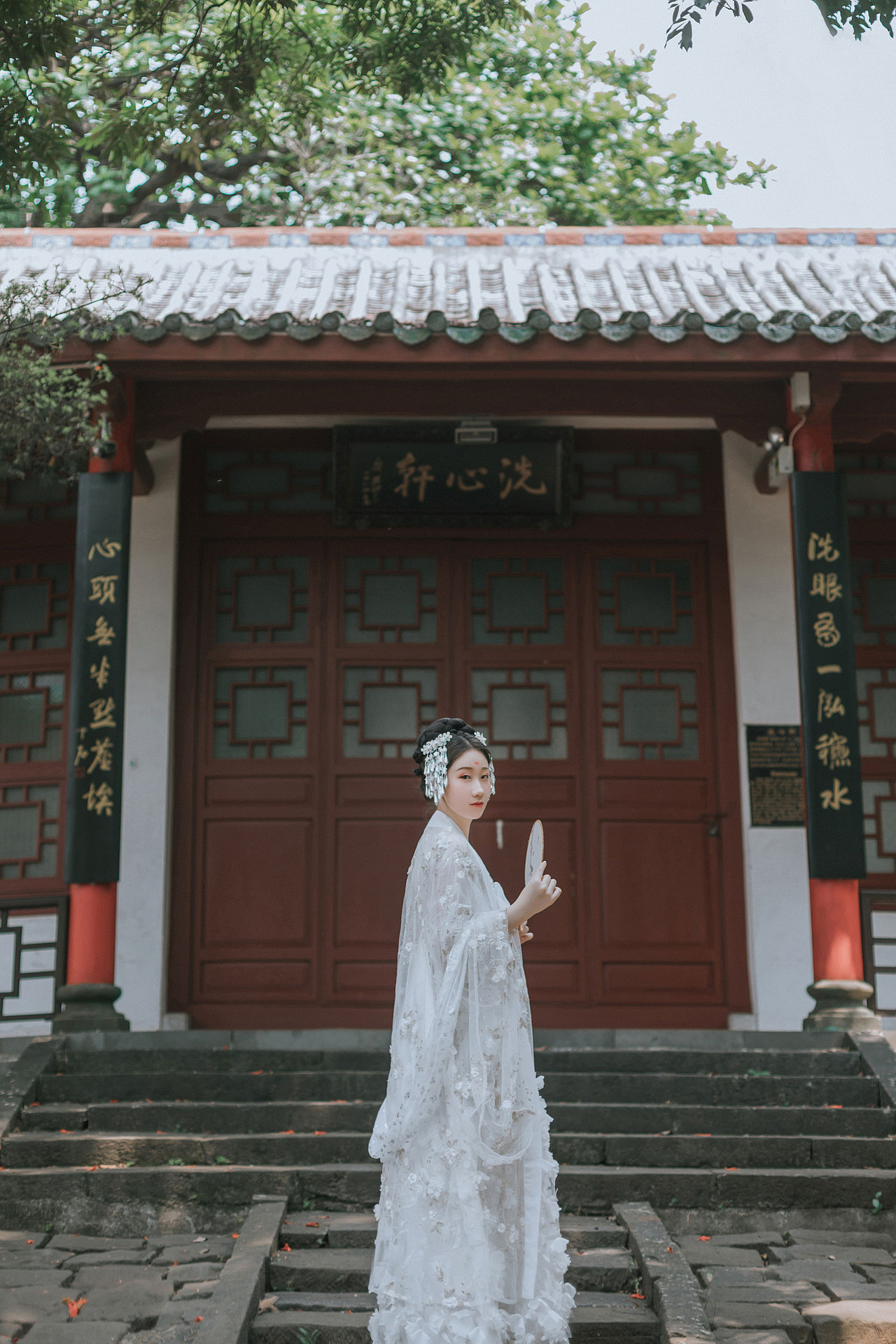 白茶清欢无别事 我在等风也等你