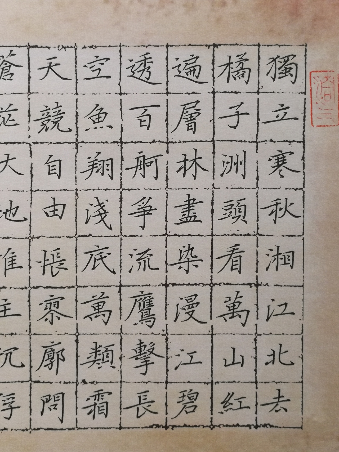 硬笔书法《沁园春.长沙》