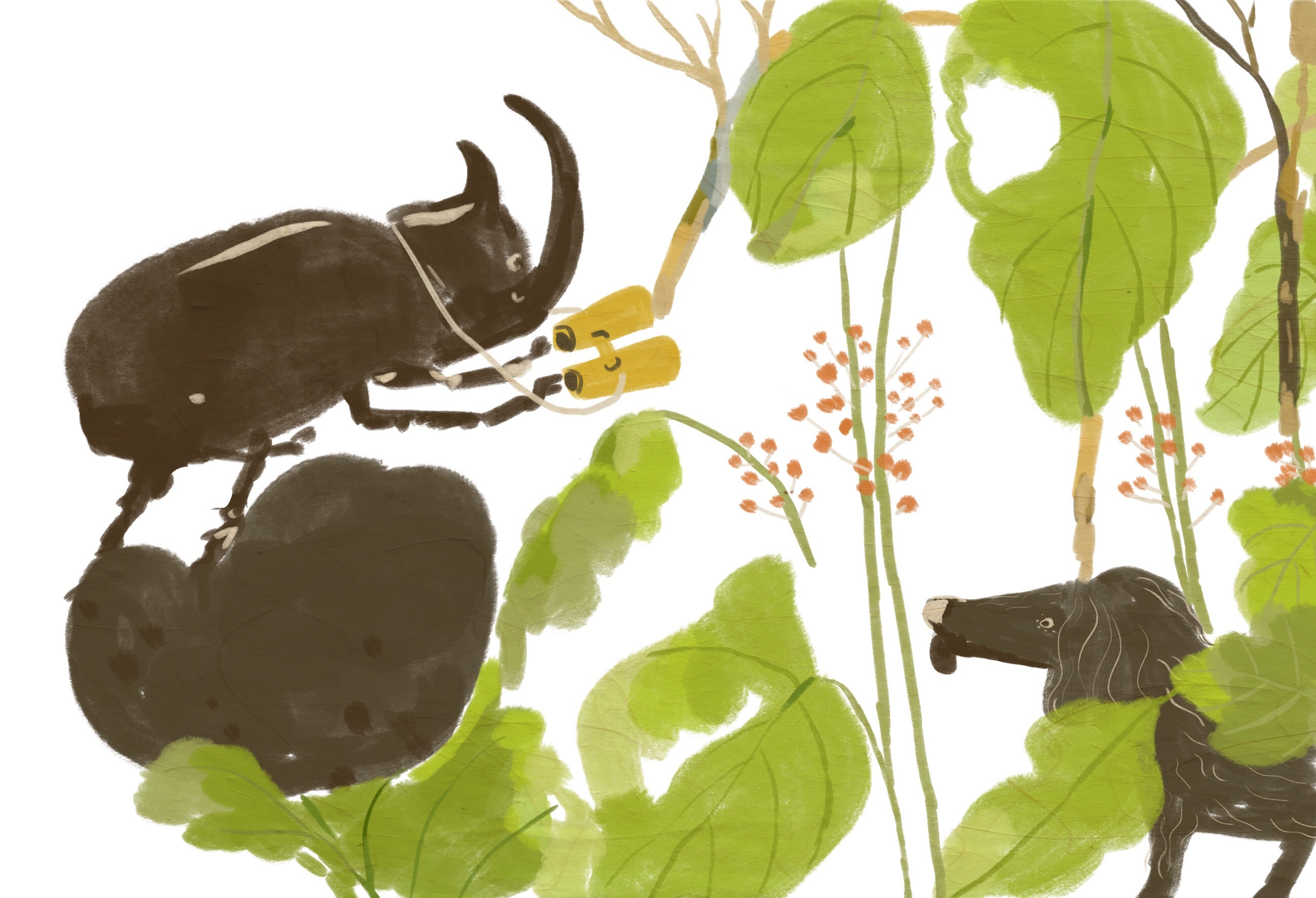 屎壳郎造访|插画|儿童插画|梁柠檬梁柠檬 - 原创作品 - 站酷 (zcool)