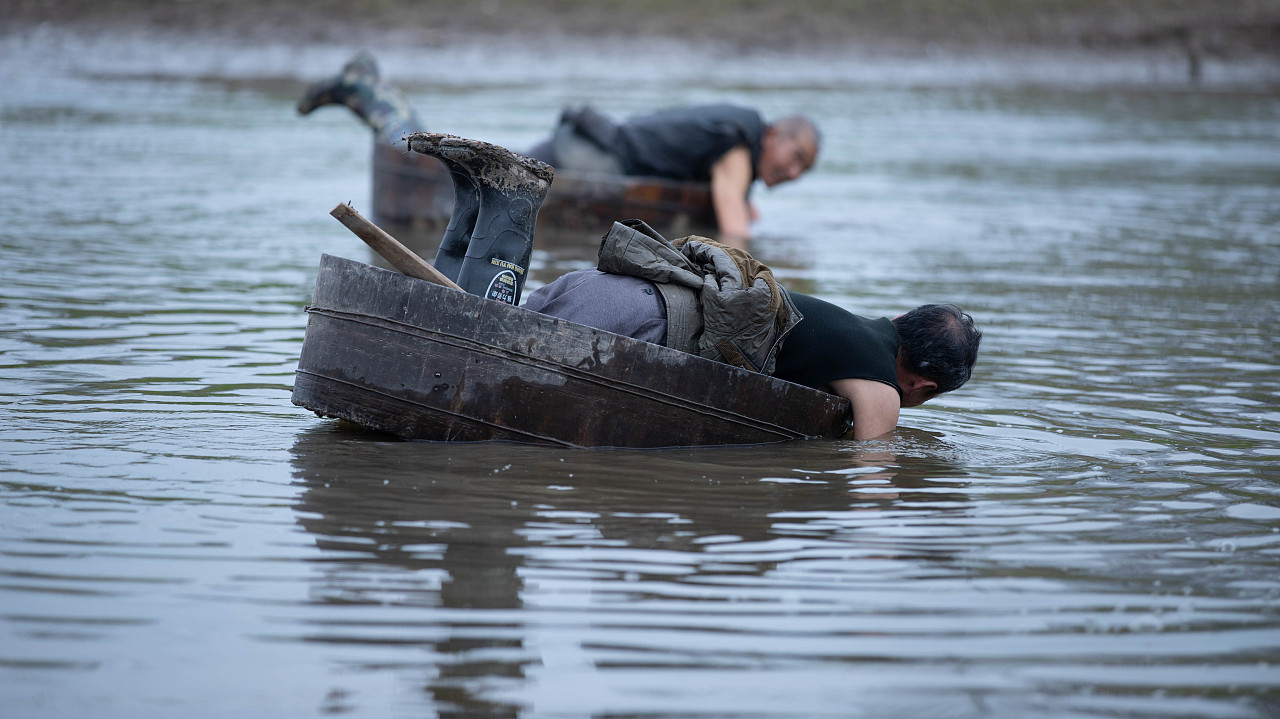 随拍| 记一次古老的捕鱼方式 腰盆摸鱼