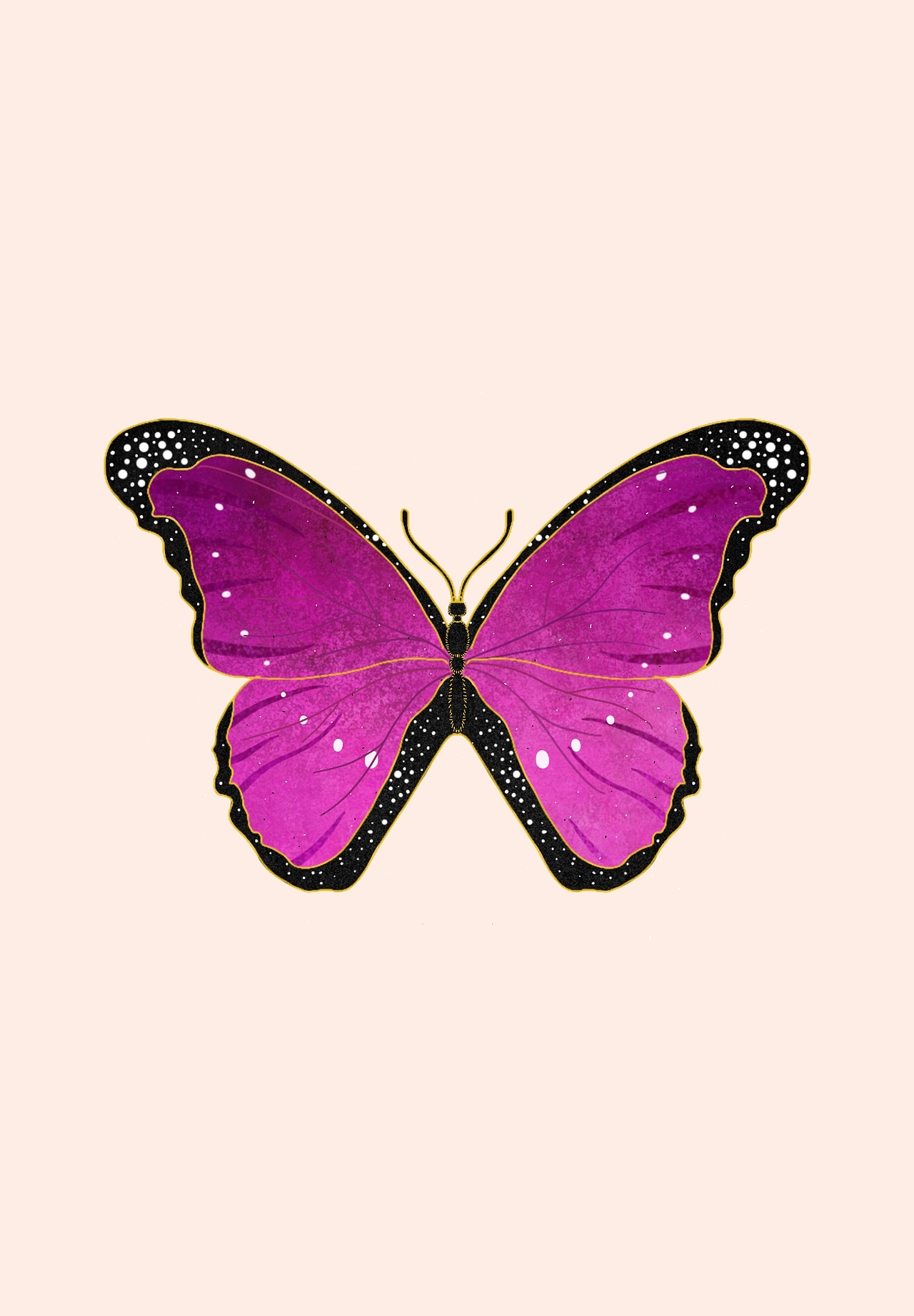 昆虫插画（图ZMjk3MjY0NTU2） - 创作习作 - 站酷设计师小静音L原创素材 - 站酷ZCOOL