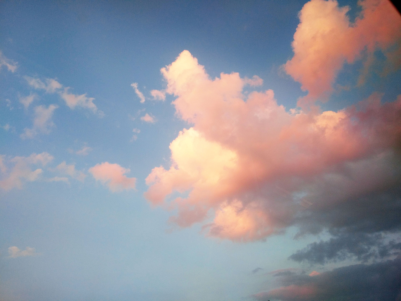 Free Images : nature, wing, cloud, sky, sunrise, sunset, morning ...