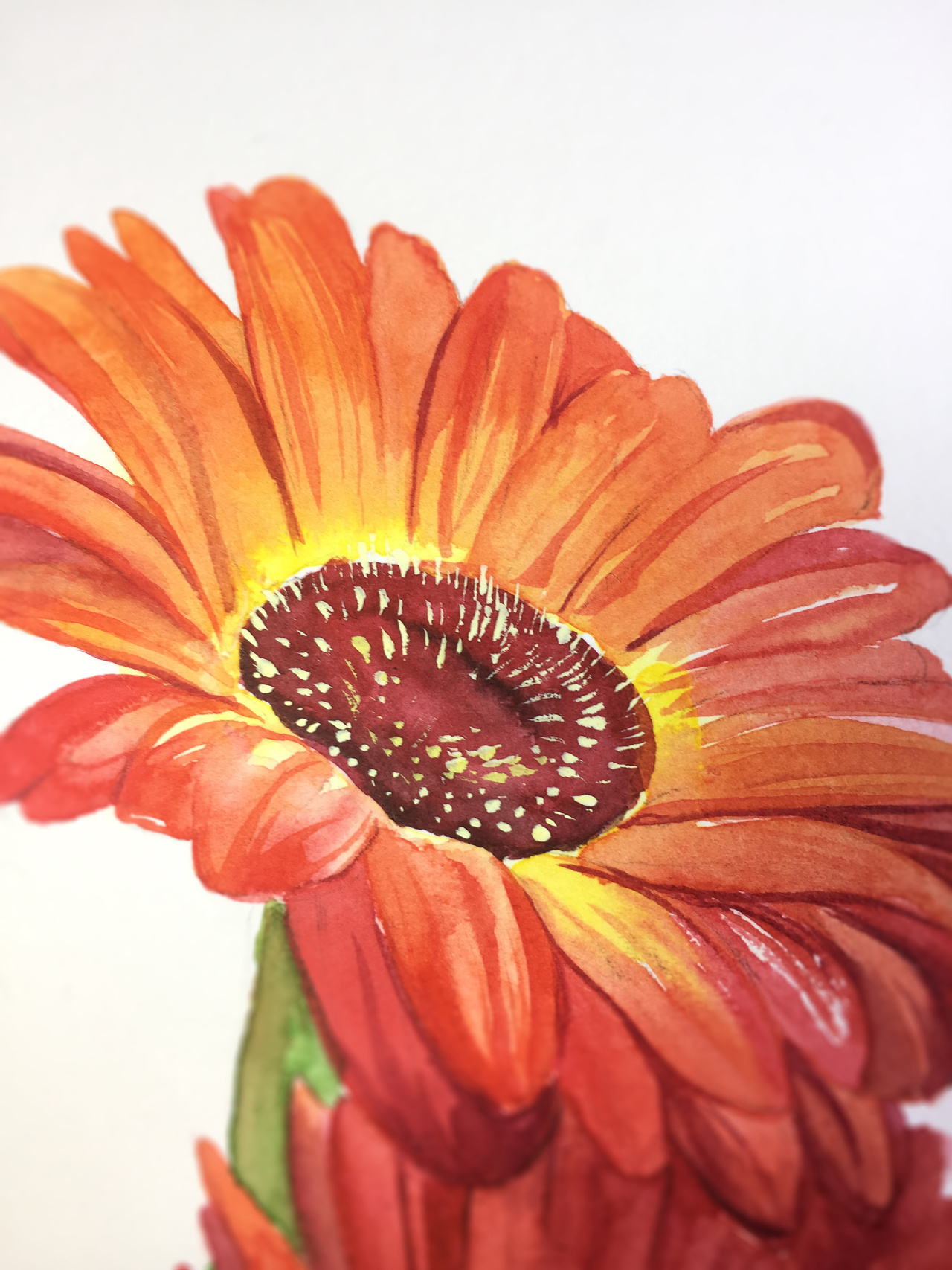 画了一朵美腻的大红花,可是我实在不知道叫什么 有知道的小伙伴可以