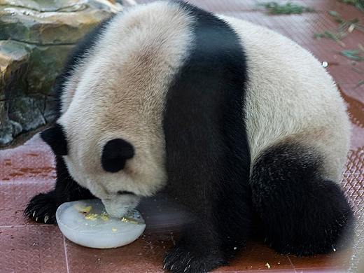 动物园
