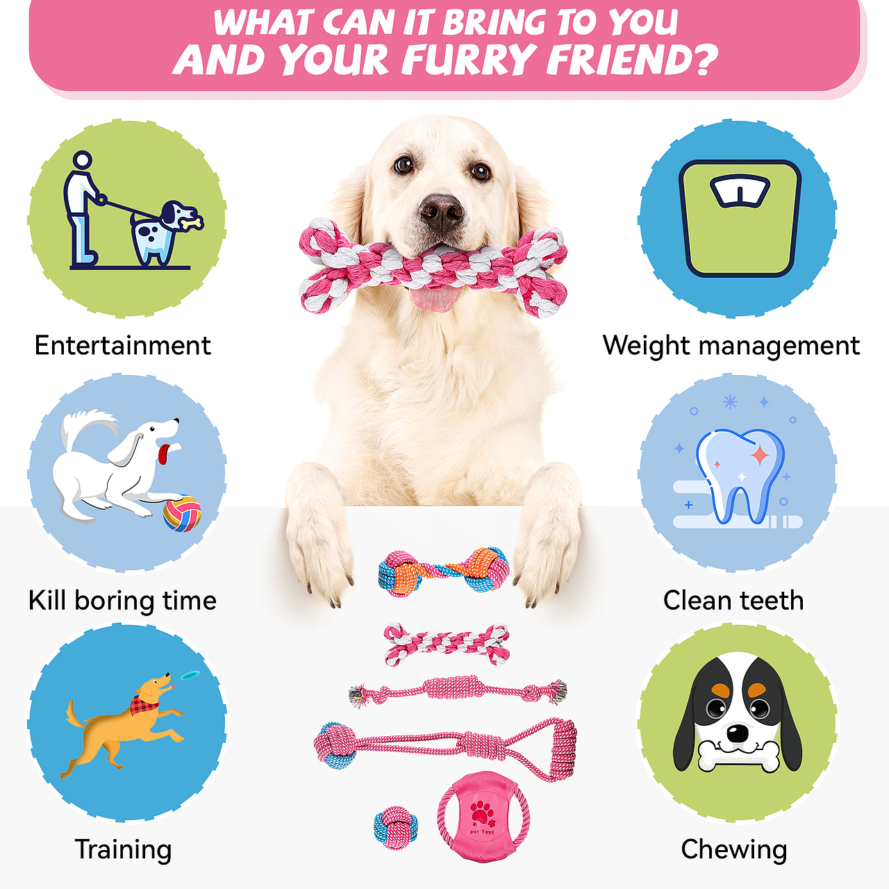 亚马逊宠物玩具主图&A+（图ZMjg5MTAxNzA0） - 电商 - 站酷设计师XIAOLIN琳原创素材 - 站酷ZCOOL