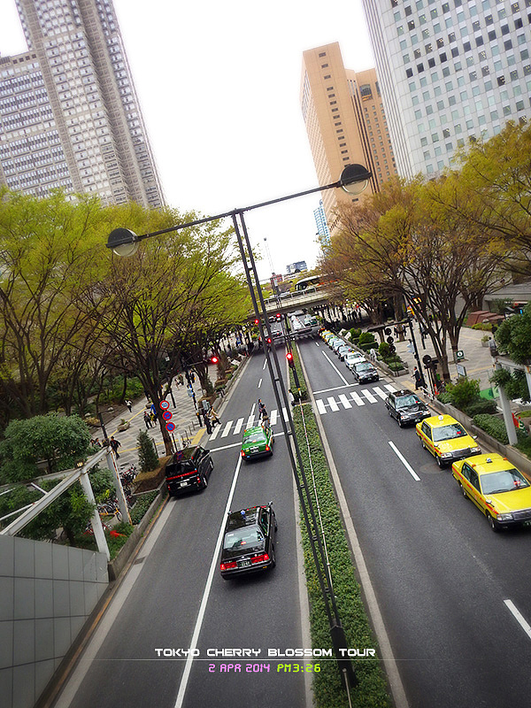 2014日本賞櫻之旅