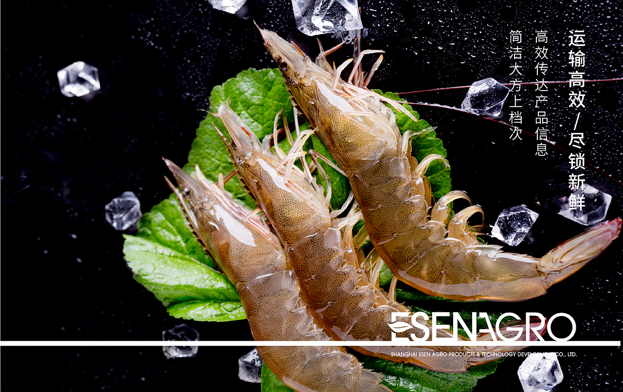 伊禾生鲜包装提案