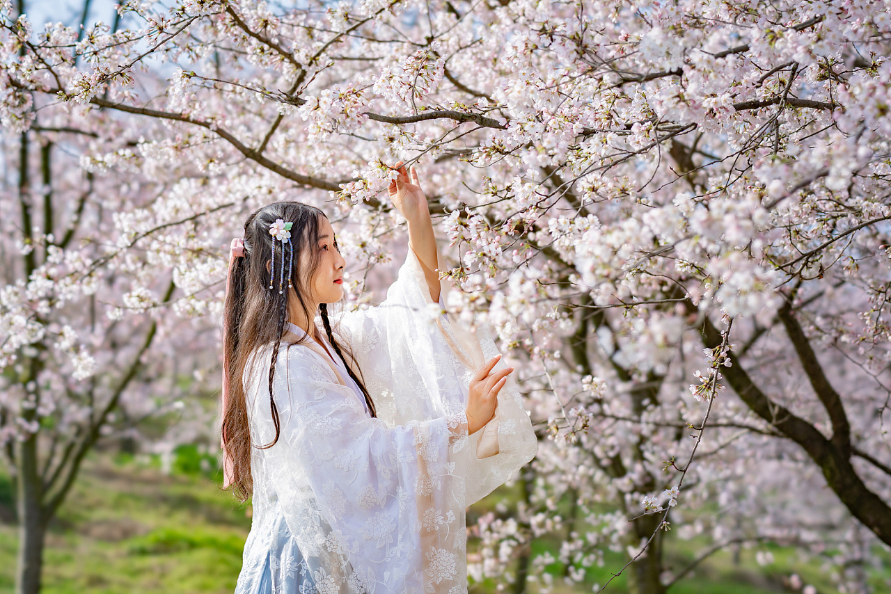 贵安樱花园的汉服