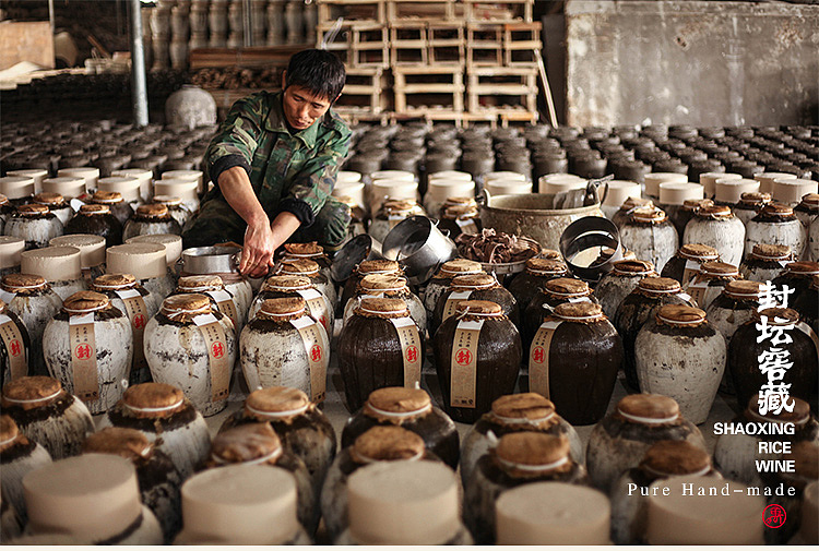 抱龙山绍兴黄酒善酿雕王十年陈