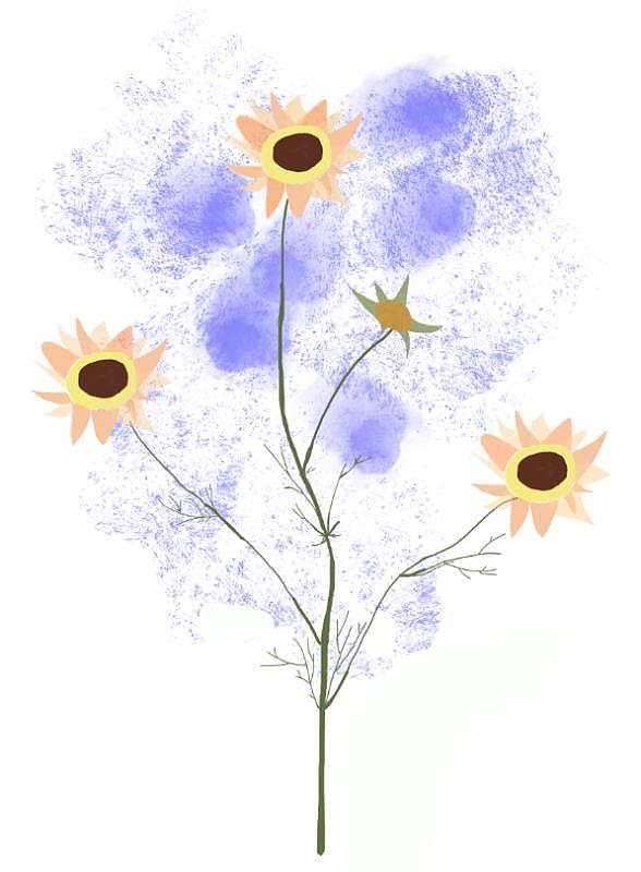 植物篇（图ZMjE3Njk4ODI4） - Writing Exercises - 站酷设计师Suhana美子原创素材 - 站酷ZCOOL