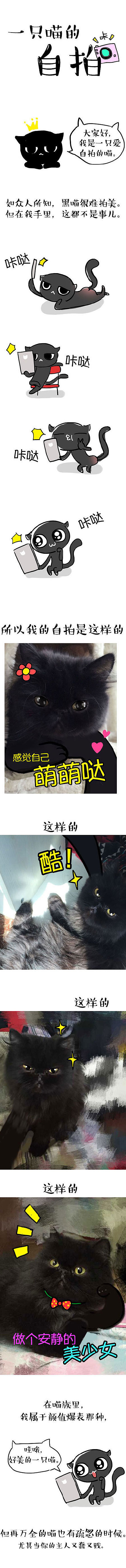 一只自拍的喵（图ZMjc2ODQ0MzY=） - 短篇/格漫 - 站酷设计师味精MSG原创素材 - 站酷ZCOOL