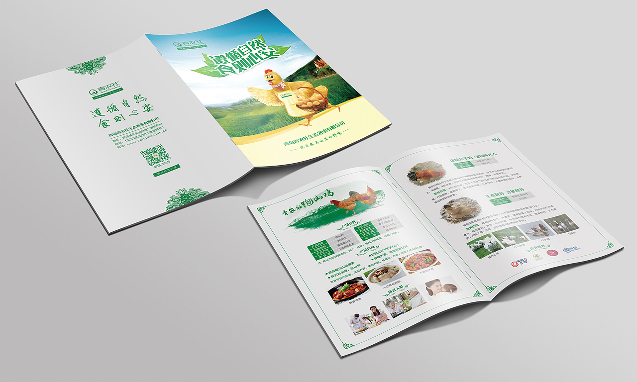 两折页（图ZNjA1MjM0ODQ=） - 宣传物料 - 站酷设计师安之Ruo素原创素材 - 站酷ZCOOL