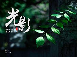 排版习作