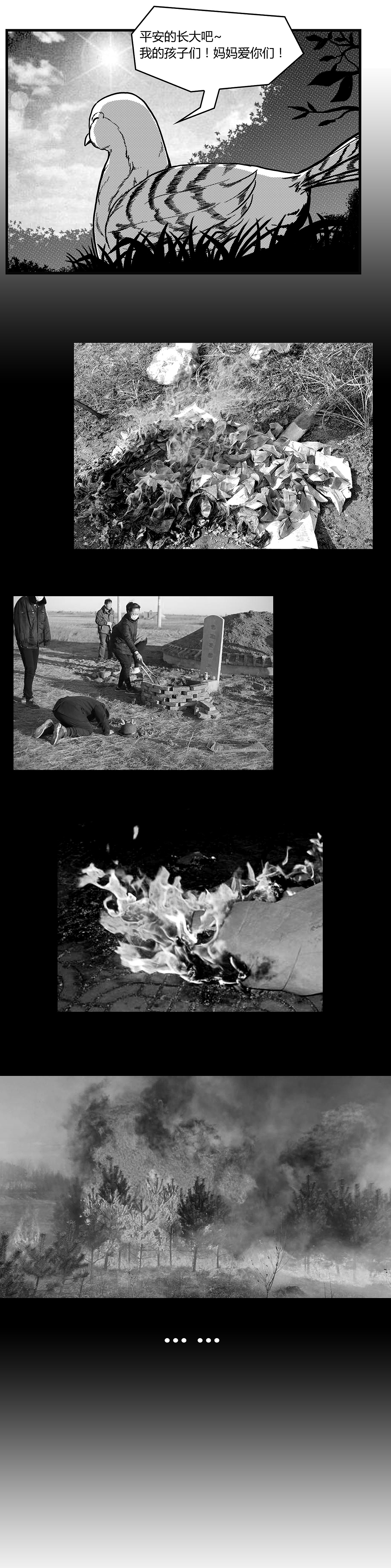 一场清明的祭祀，一份残忍的母爱！