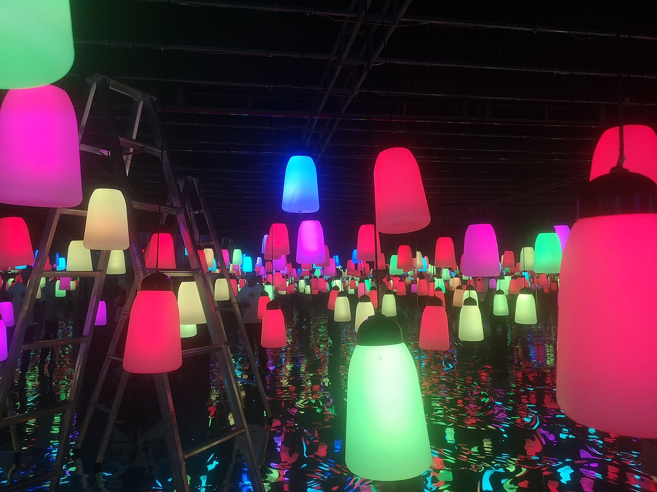 网红呼吸森林租赁 互动花海 互动鲸鱼