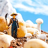 用户头像