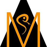 Snake_vision的头像