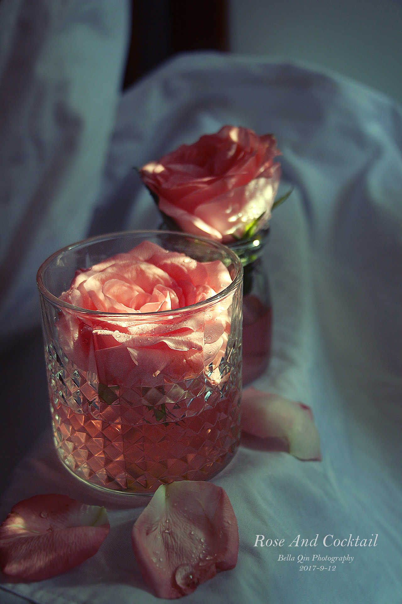 玫瑰花与鸡尾酒
