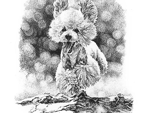 王劲松钢笔画