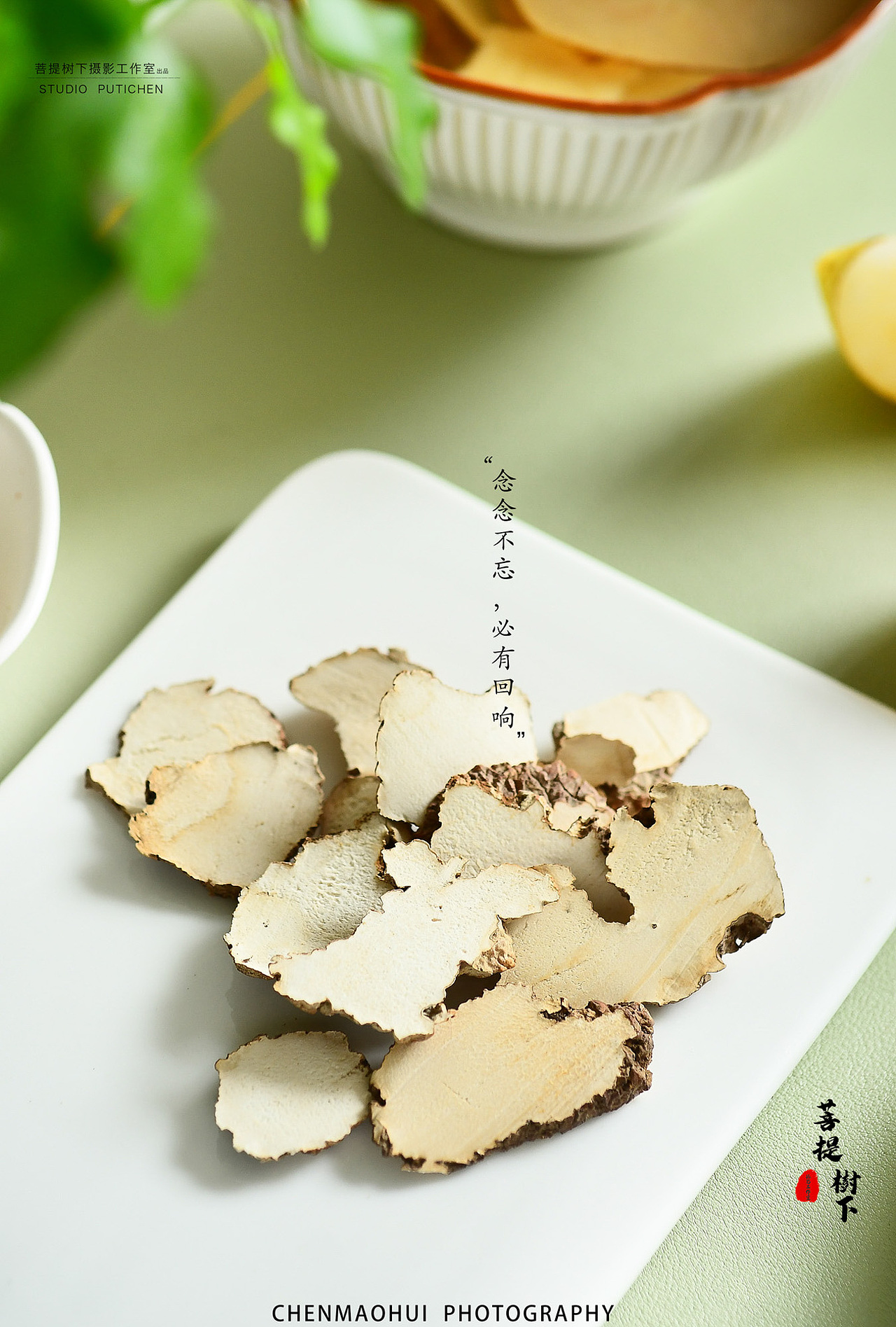 虎乳菌雪梨汤料