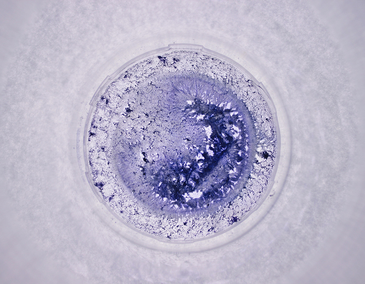 五颜六色（图ZMjAwNzMwNDQ4） - 产品摄影 - 站酷设计师什么都不灰灰原创素材 - 站酷ZCOOL