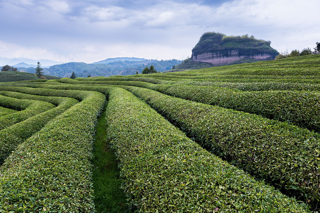 未到武夷梦已新,千峰拔地玉嶙峋——武夷山归来_s李想-站酷zcool