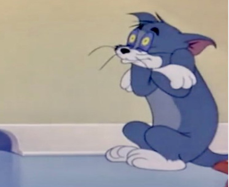 《猫和老鼠》汤姆猫囧态模玩